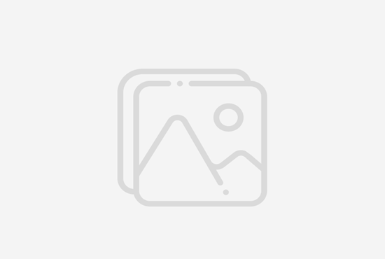 Mariposa Events Guide: Must-Attend Festivals & Seasonal Celebrations